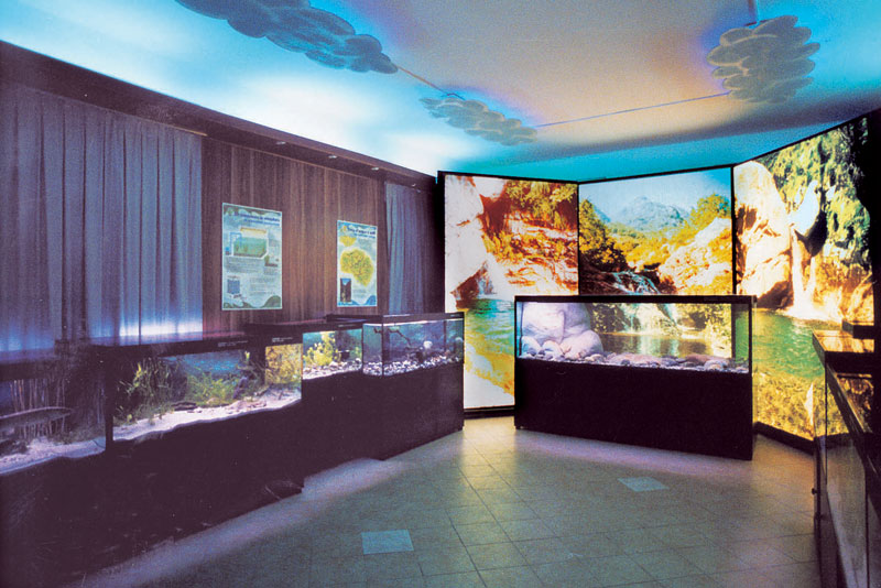 museo dell'acqua